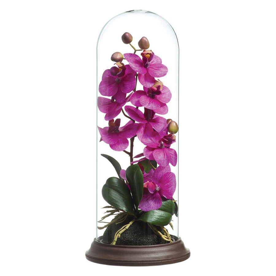 Artificial Phalaenopsis Orchid in Glass Dome