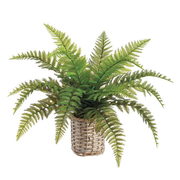 Leather Fern in Basket 19 Inches