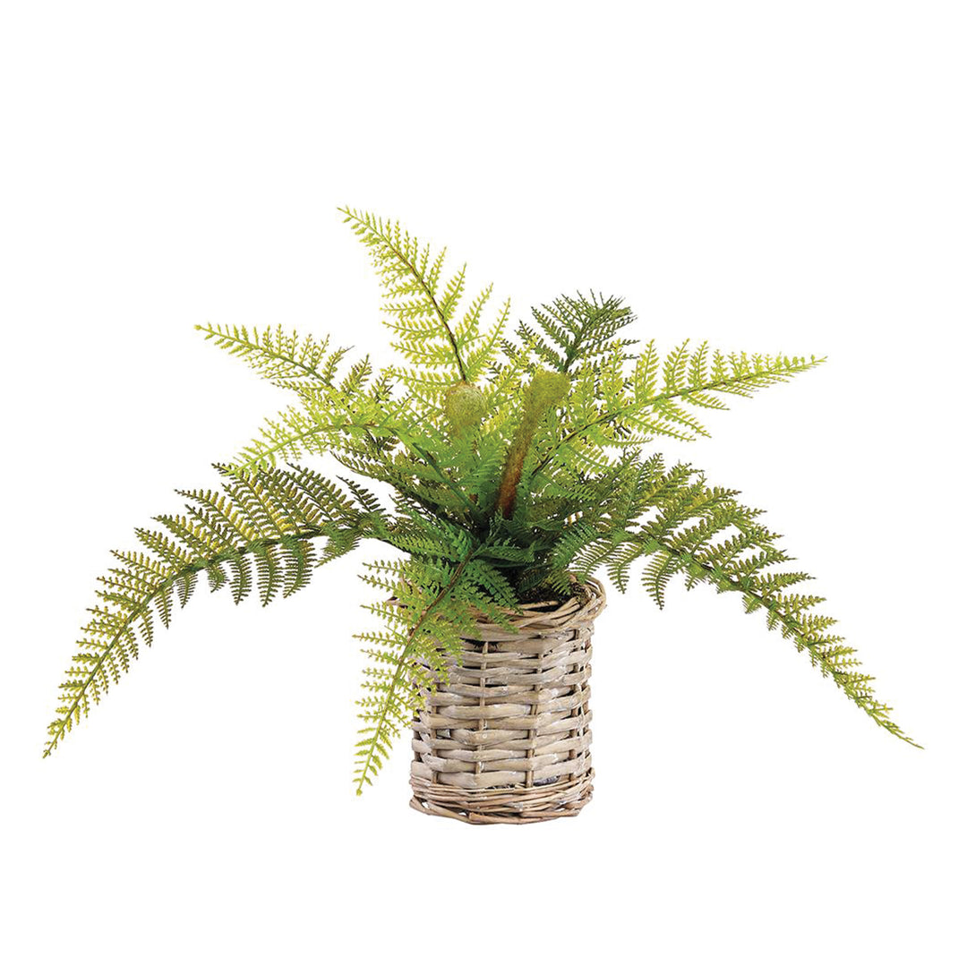 Leather Fern in Basket 11 Inches