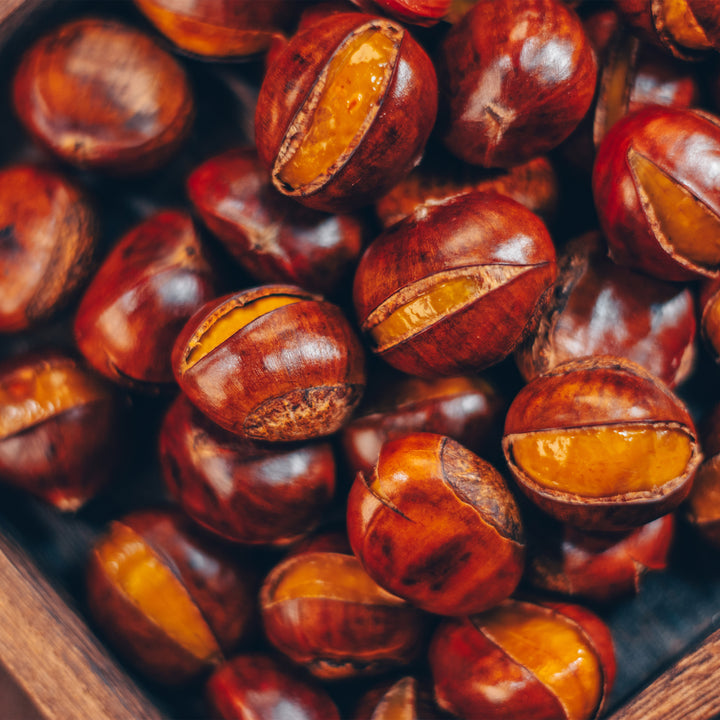 Chinese Chestnut