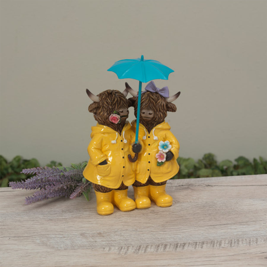 Highland Cows With Metal Umbrella