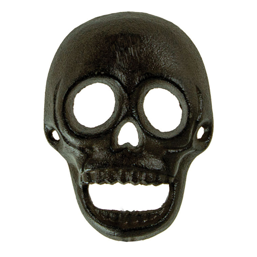 Iron Skull Décor