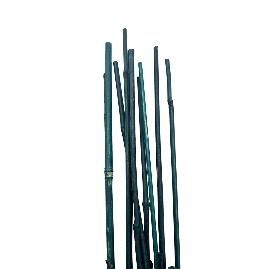 Bamboo Stakes 4-6mm Diameter 25 Pack