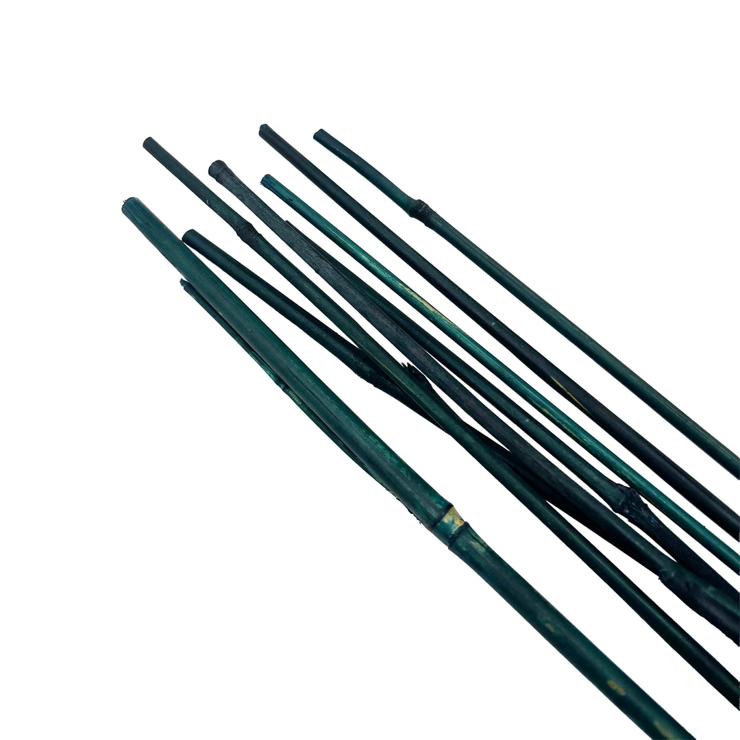 Heavy Duty Bamboo Stakes 10-12mm Diameter 6 Pack