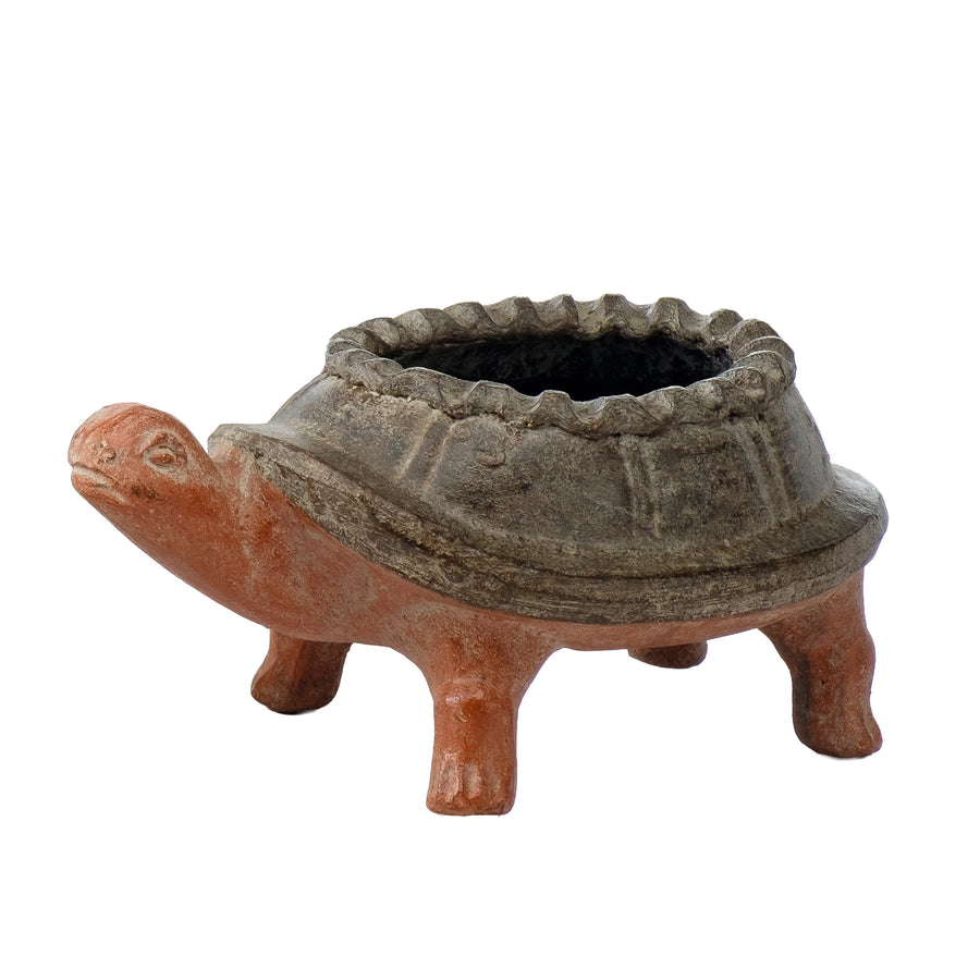 Baby Turtle Planter