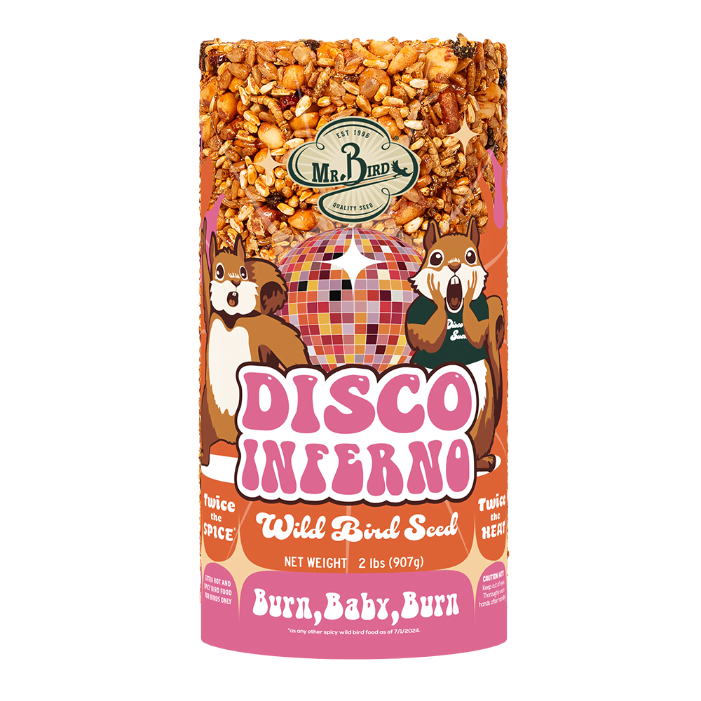 Mr. Bird Birdseed Cylinder Disco Inferno
