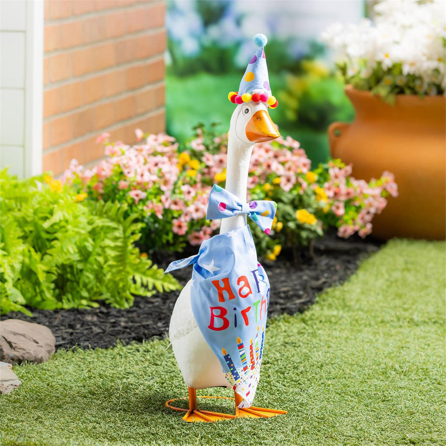 Porch Goose Outfit, Birthday Boy