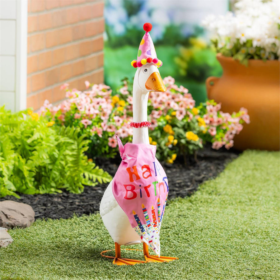 Porch Goose Outfit, Birthday Girl