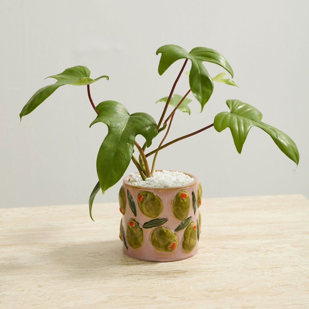 Cucina Olive Pot