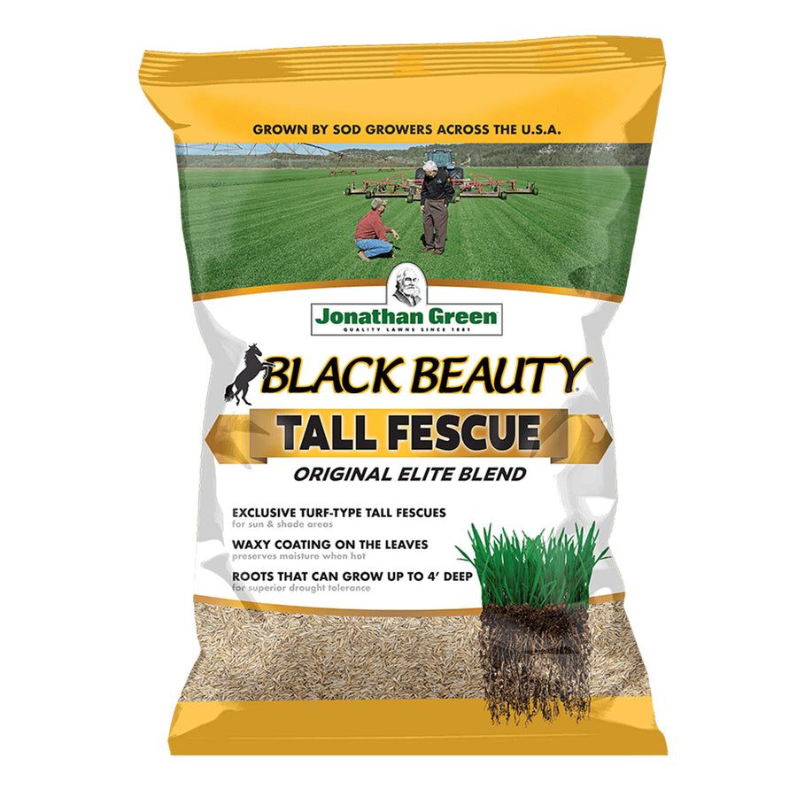Jonathan Green Black Beauty Tall Fescue Blend Grass Seed