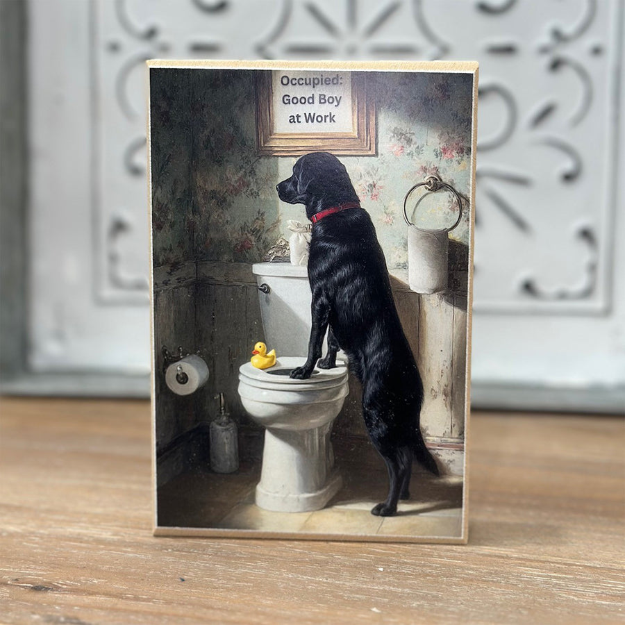 Doggy Potty Block