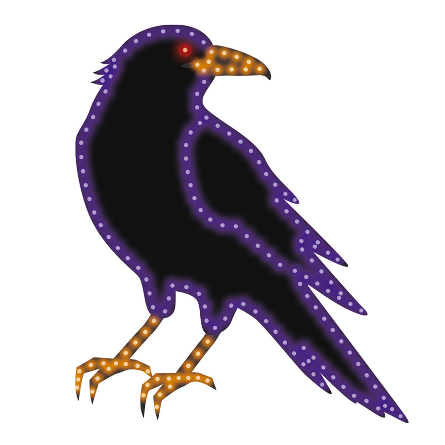 Hi-Vibrant Raven