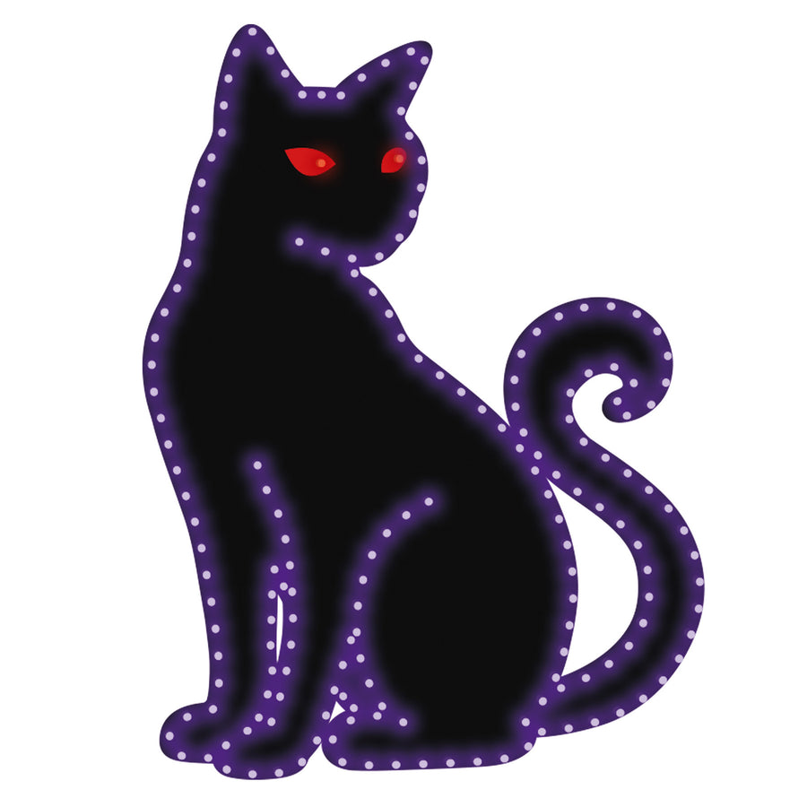 Hi-Vibrant Sly Cat