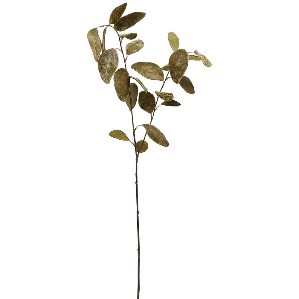 Velvet Eucalyptus Leaf Spray