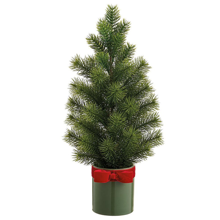 Spruce Tree in Ceramic Vase