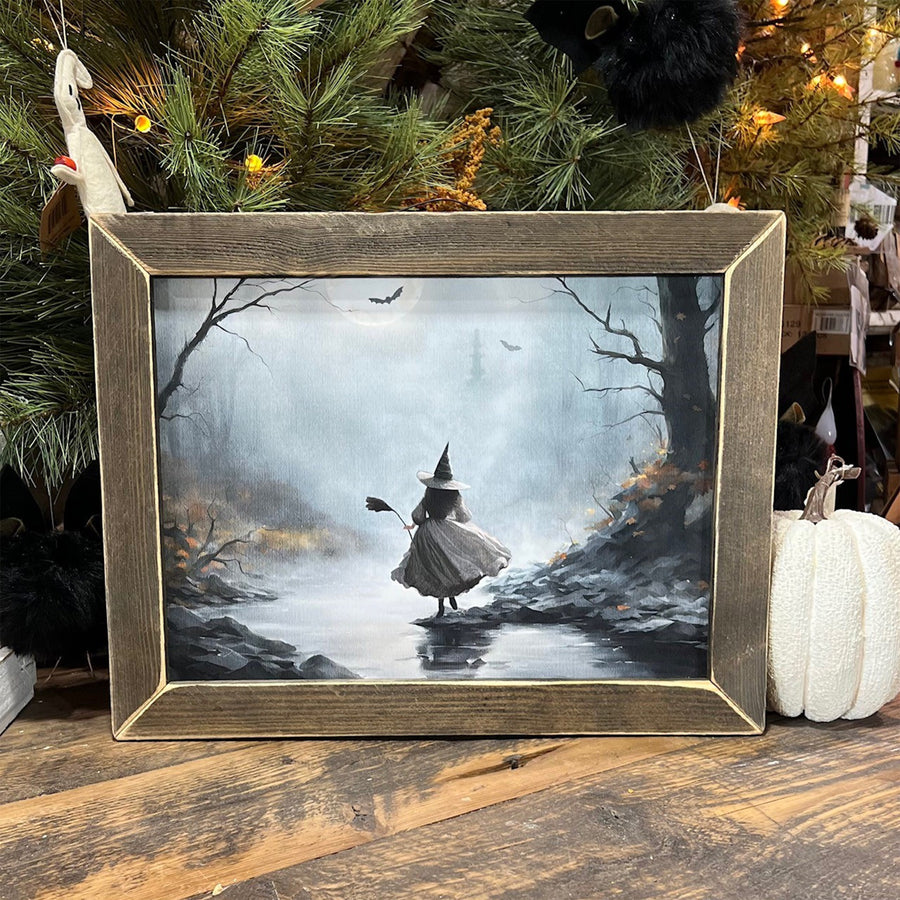 Full Moon Witch Framed Wall Art