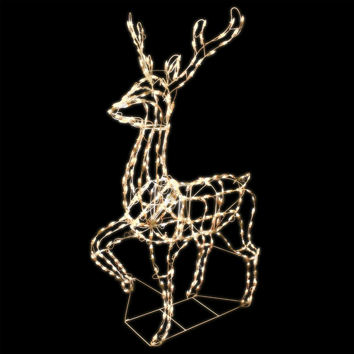 Elegant Buck LED Light Display