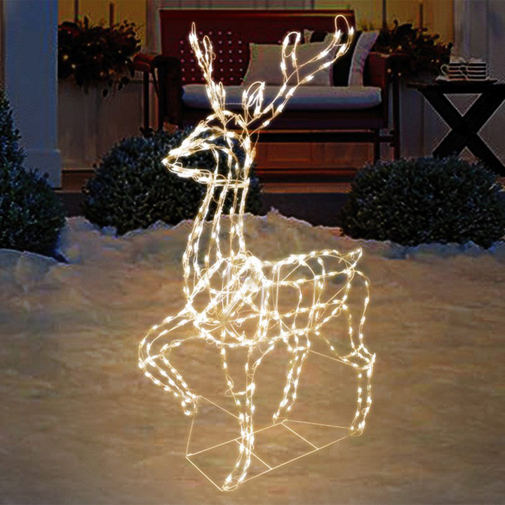 Elegant Buck LED Light Display