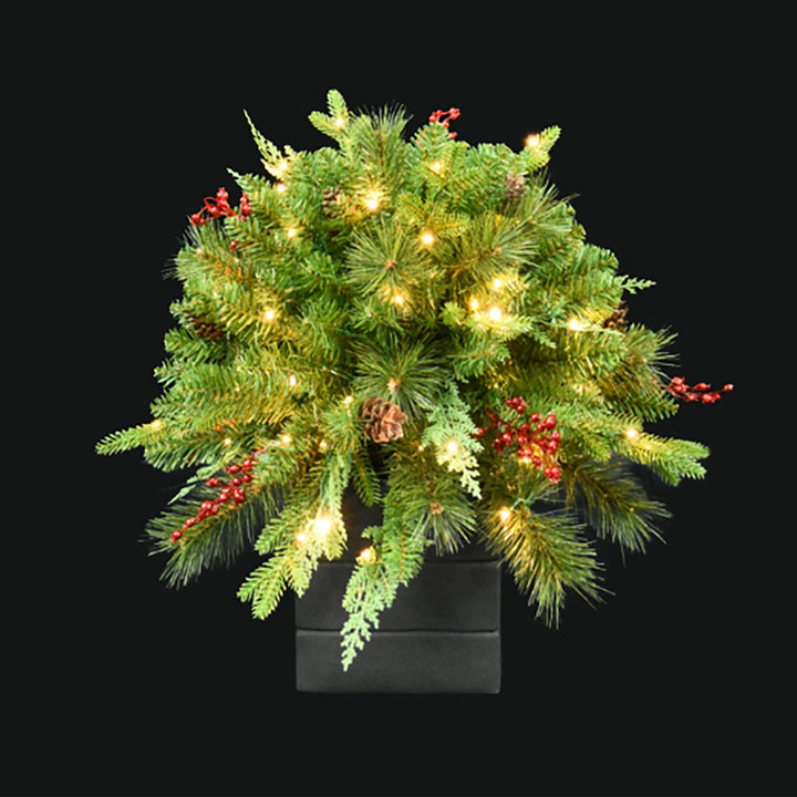 Mixed Pine & Berry Porch Pot