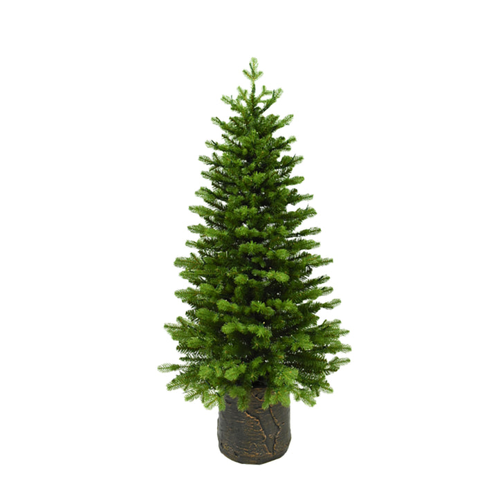 Noble Fir Potted Porch Tree