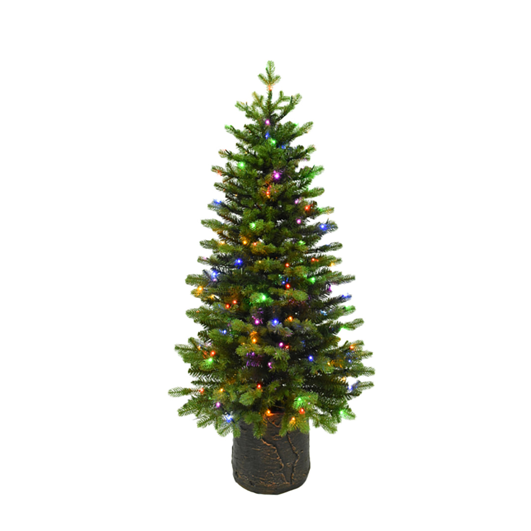 Noble Fir Potted Porch Tree