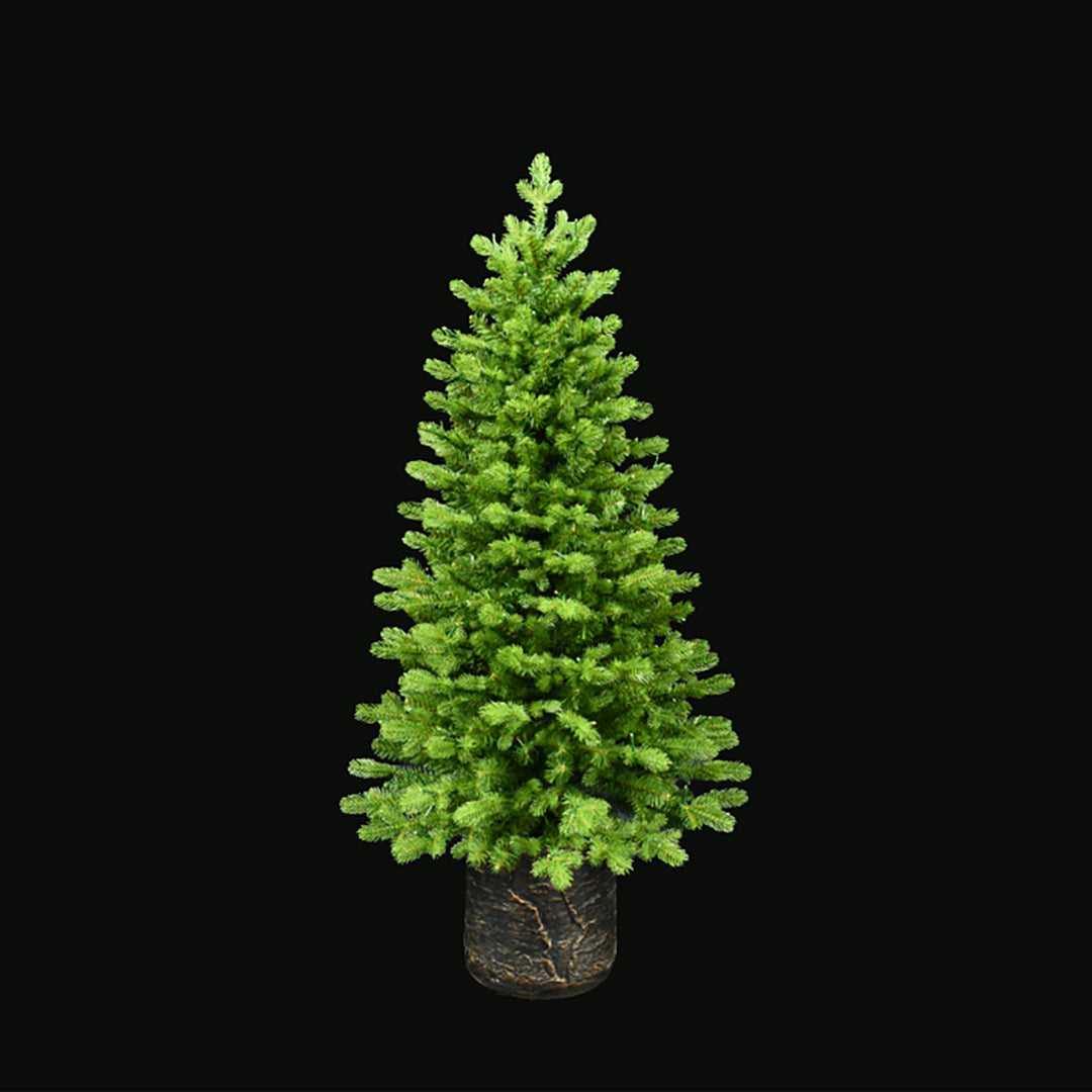 Noble Fir Potted Porch Tree