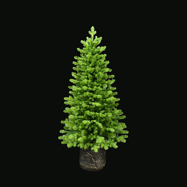 Noble Fir Potted Porch Tree