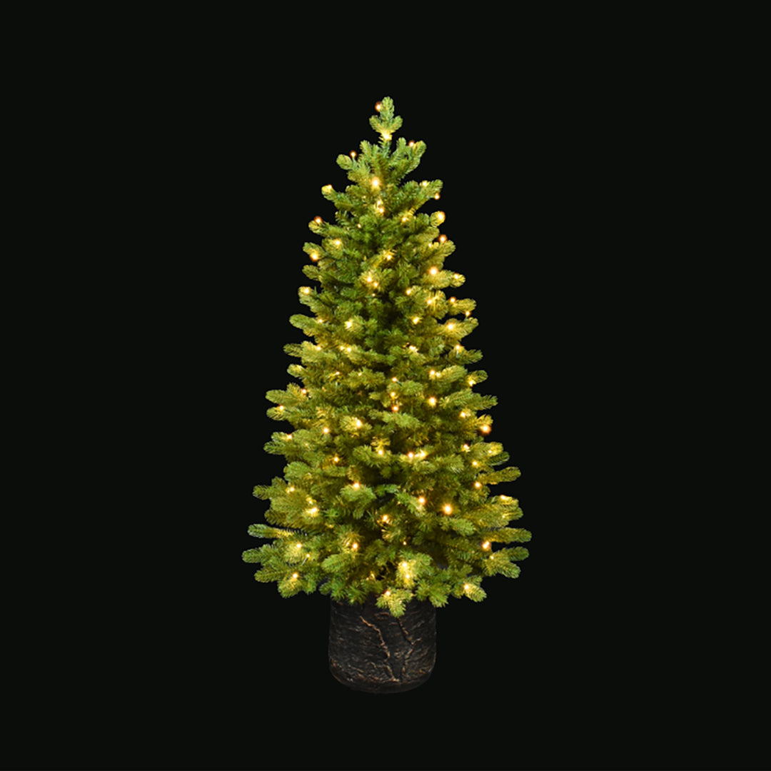 Noble Fir Potted Porch Tree