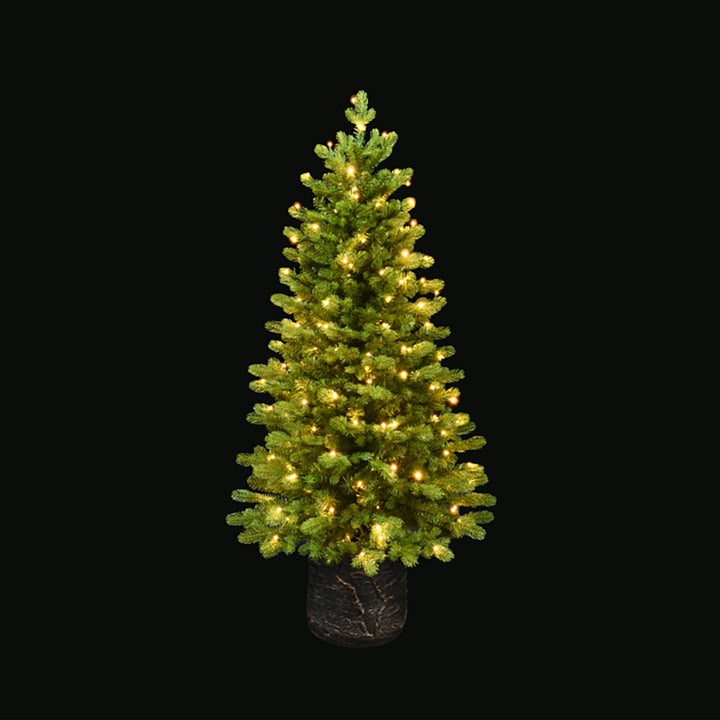 Noble Fir Potted Porch Tree