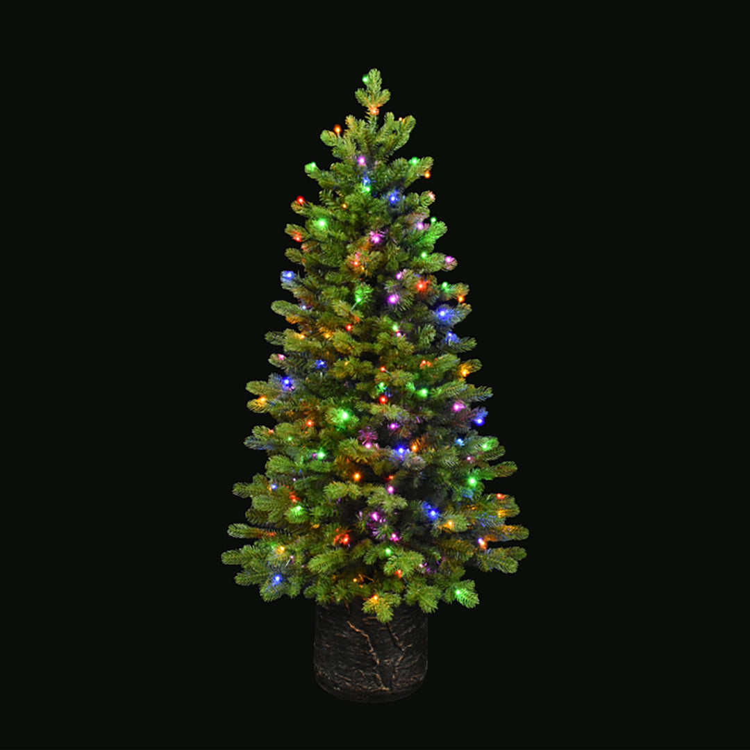 Noble Fir Potted Porch Tree
