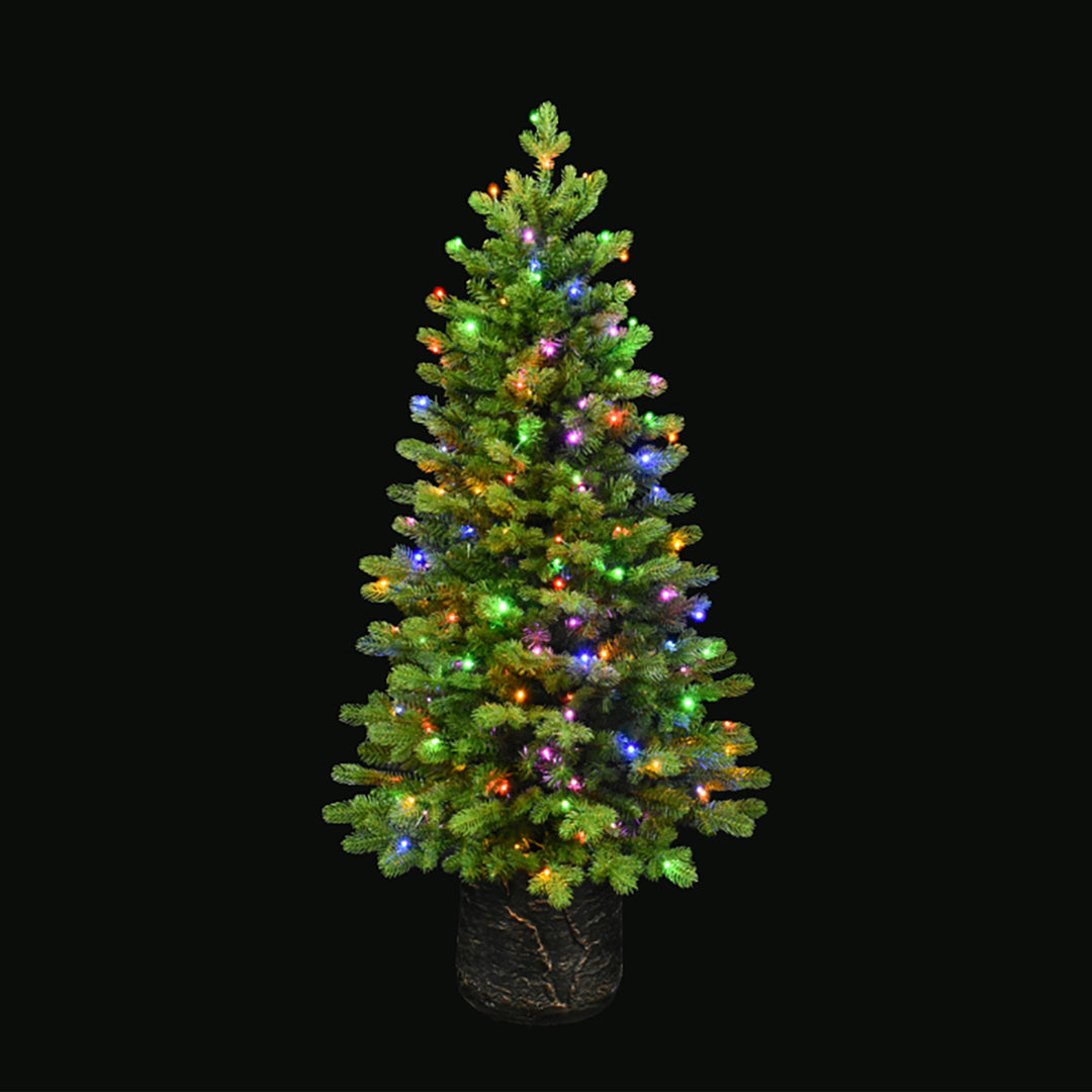 Noble Fir Potted Porch Tree