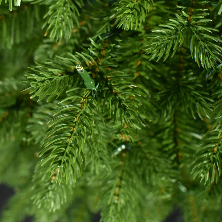 Noble Fir Potted Porch Tree