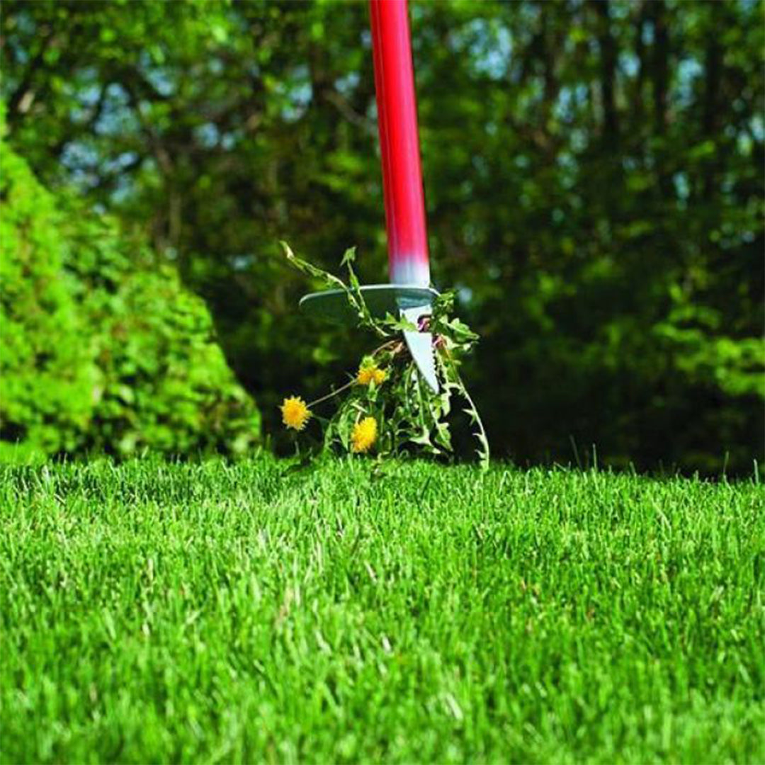 Garden Weasel Weed Popper