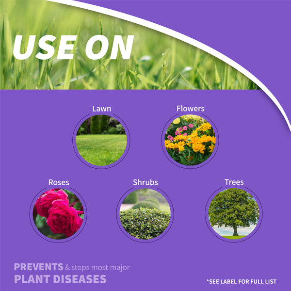 Bonide Infuse Fungicide