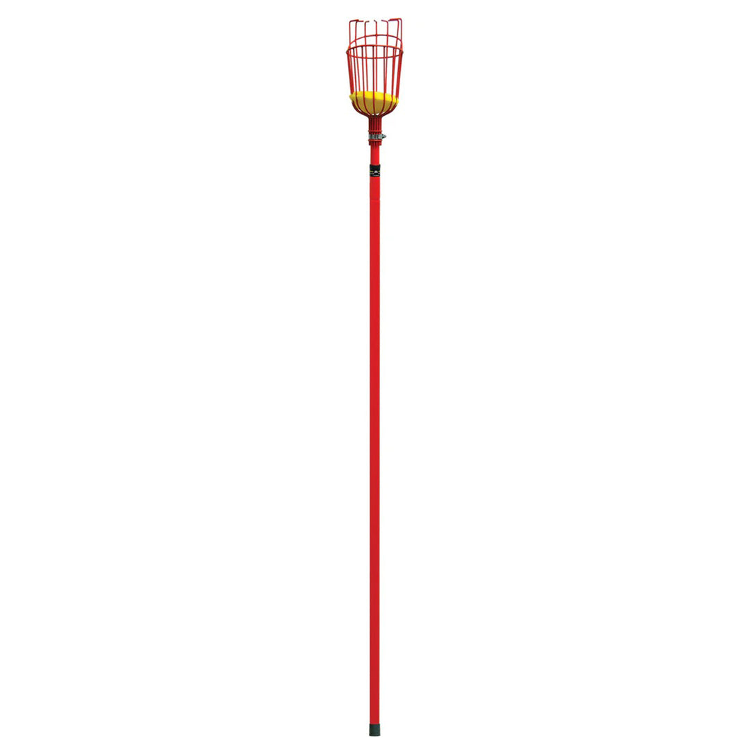 Corona Extendable Fruit Picker