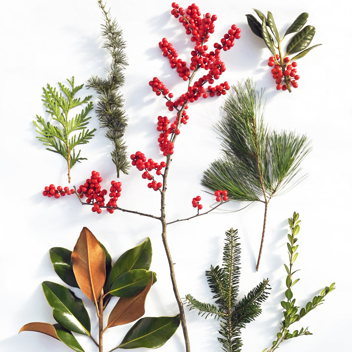 Fresh Evergreen & Holiday Branches