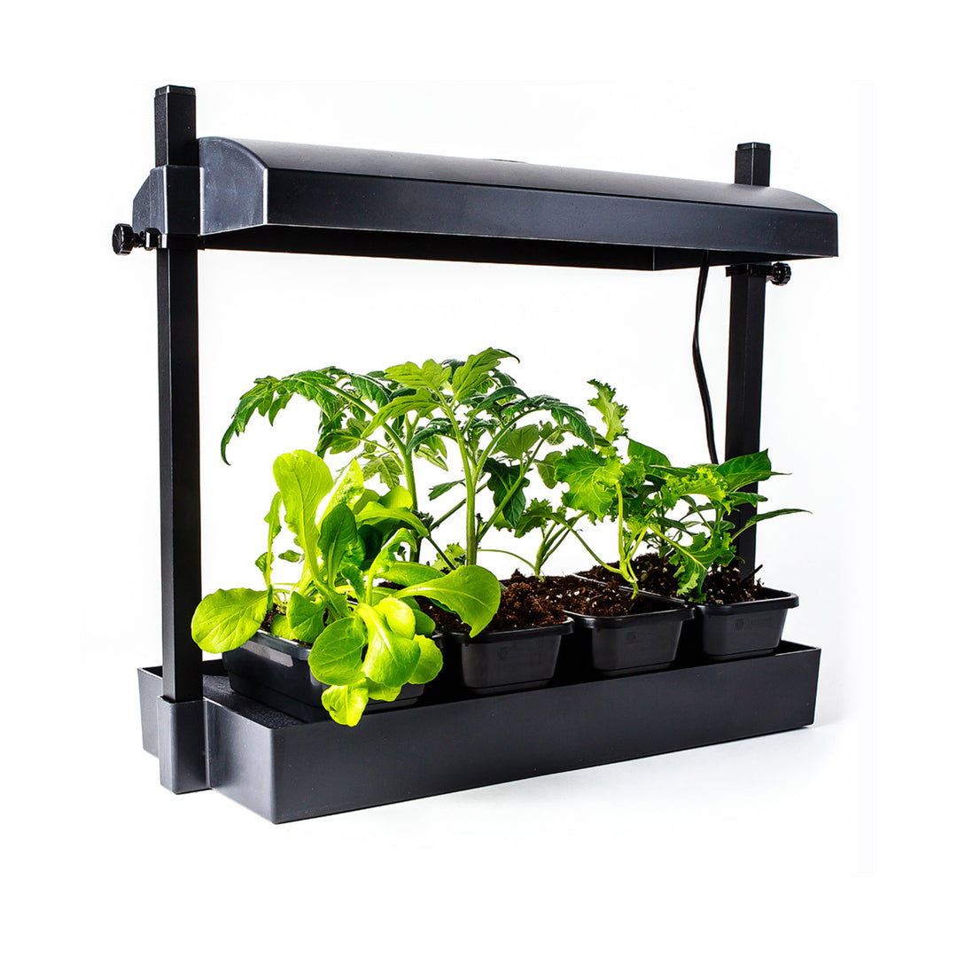 Full Spectrum Micro Grow Light Garden