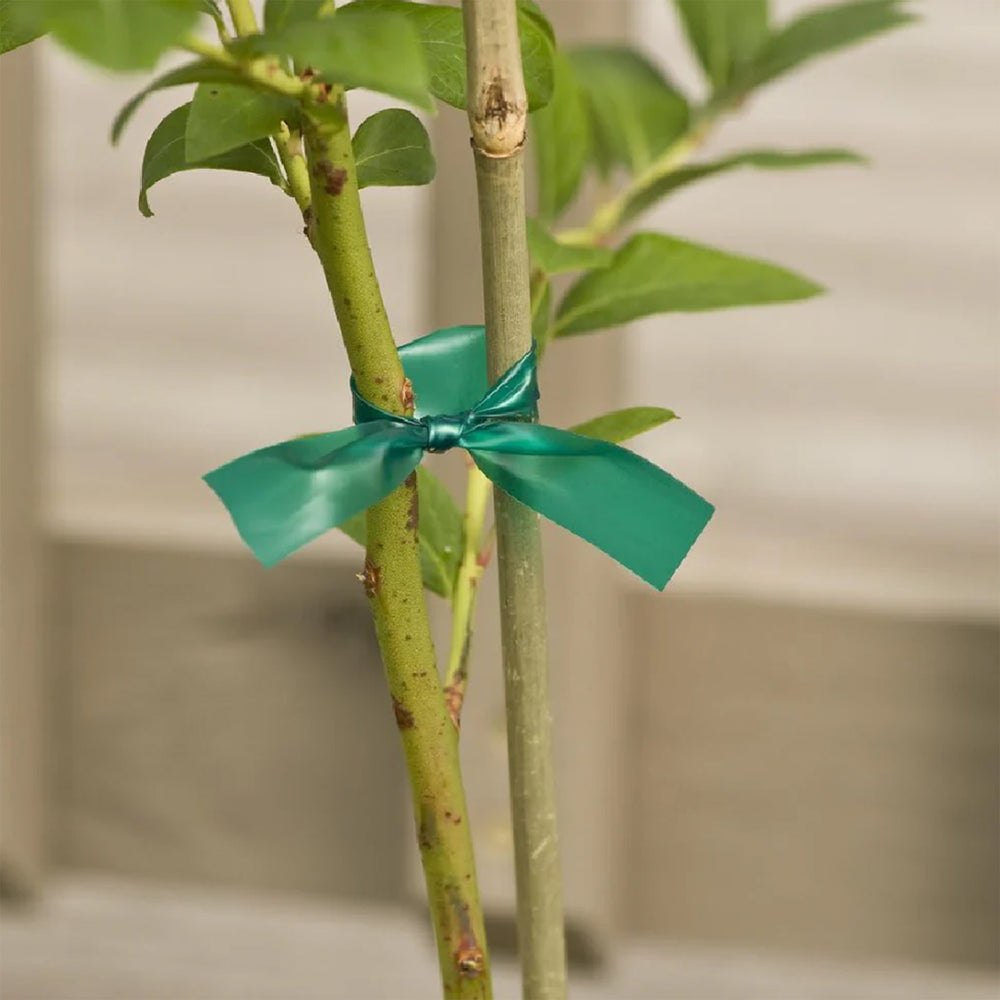 Plant Stretch Tie