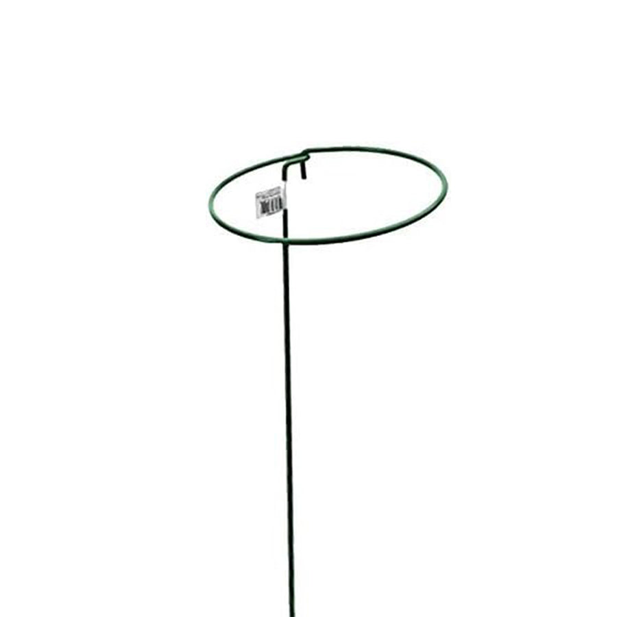 Gathering Ring Plant Support