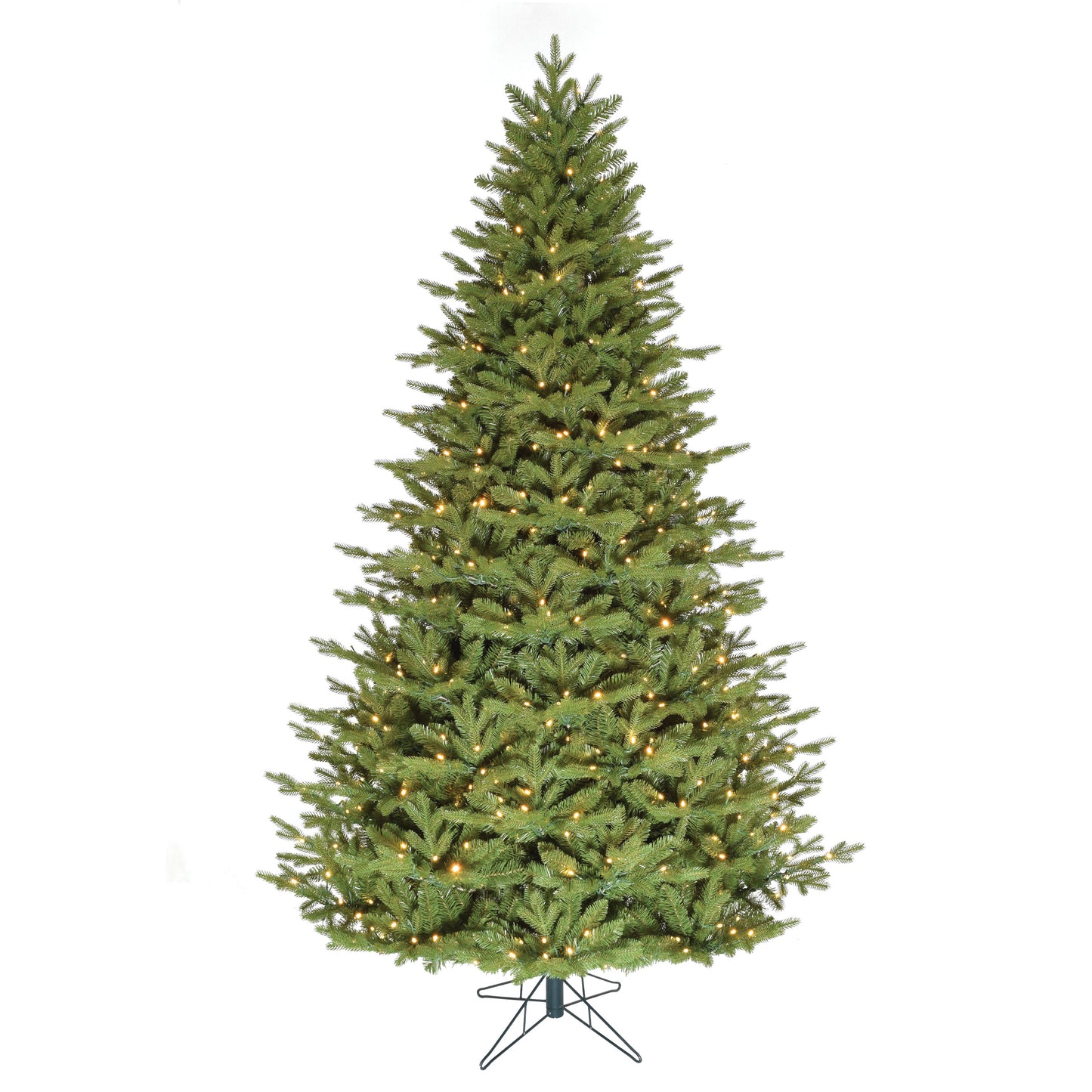 Natural Fraser Fir Warm White LED