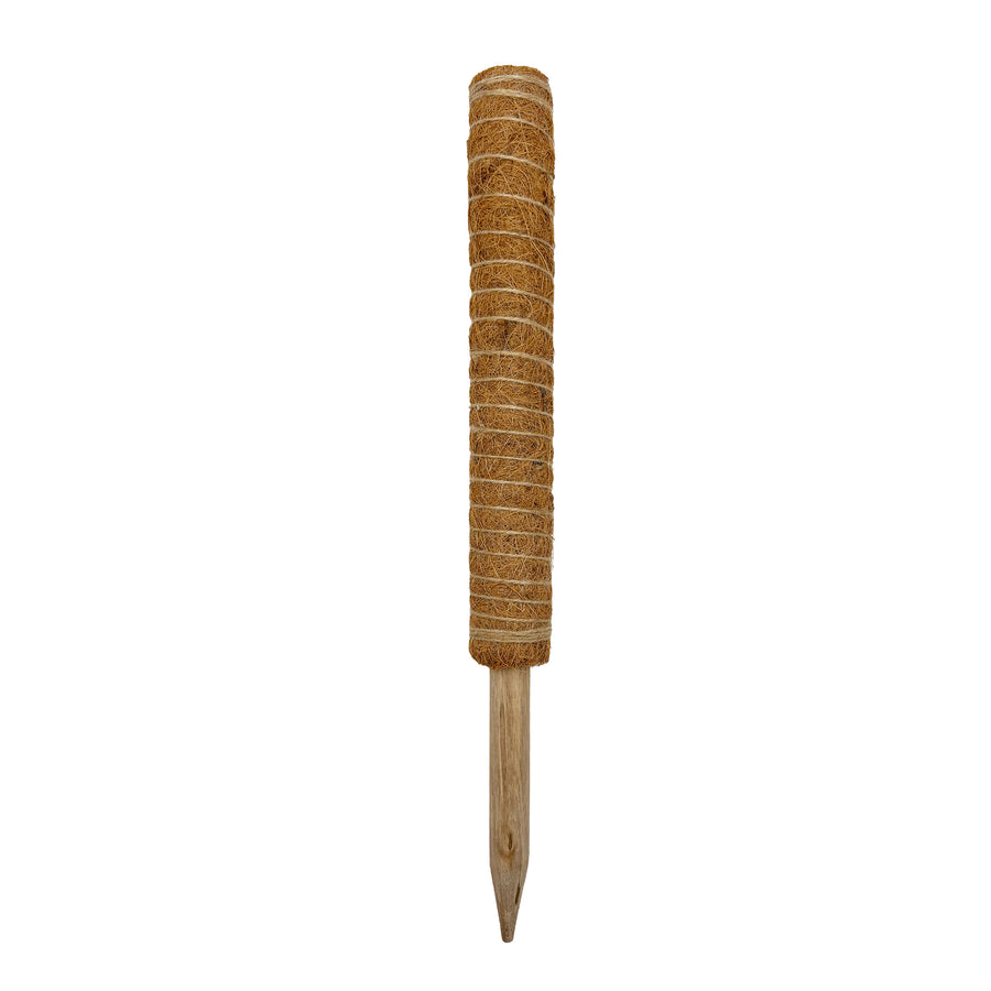 Coco Plant Stake
