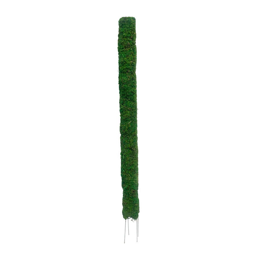 Moss Plant Stake