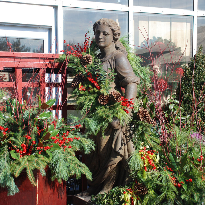 Fresh Evergreen & Holiday Branches