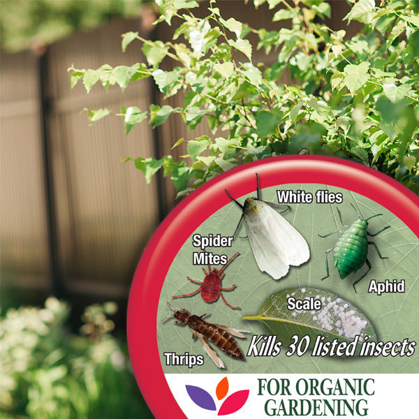 Bonide Insecticidal Soap
