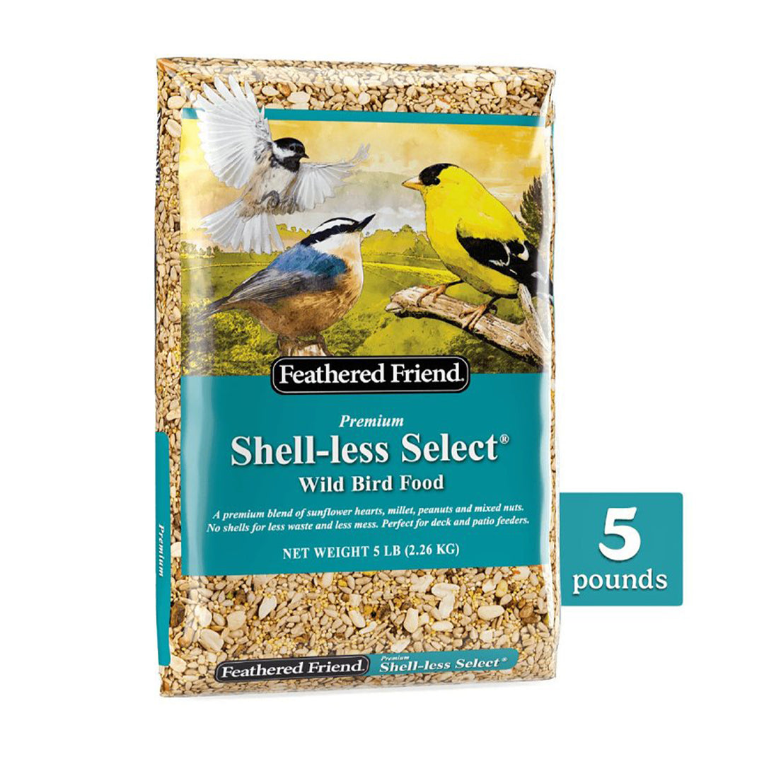 Shell-less Select Wild Bird Food