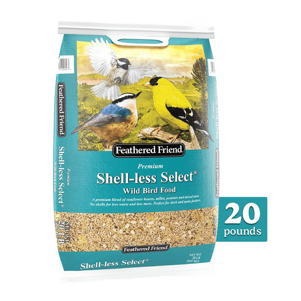Shell-less Select Wild Bird Food