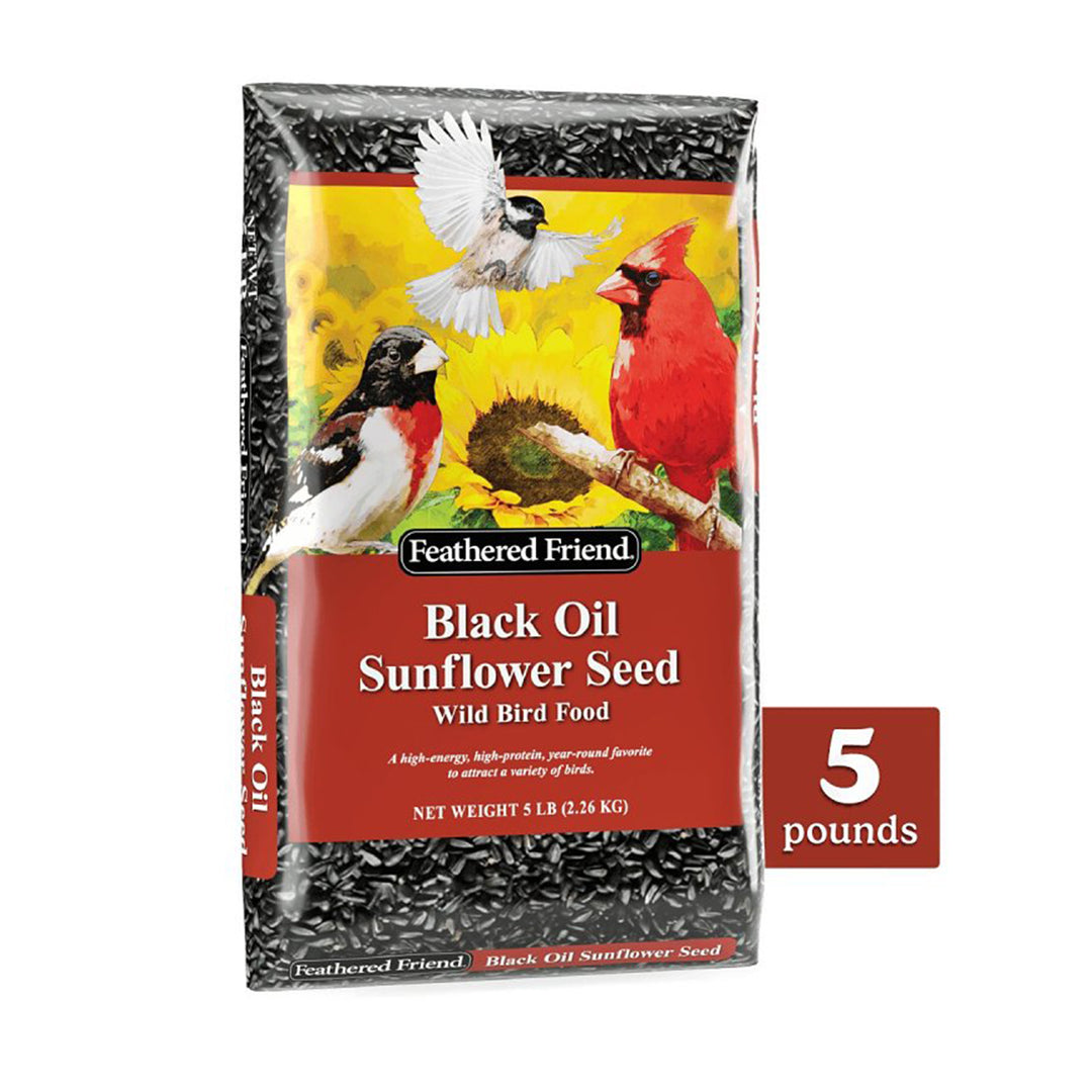 Black Oil Sunflower Seed Wild Bird Food