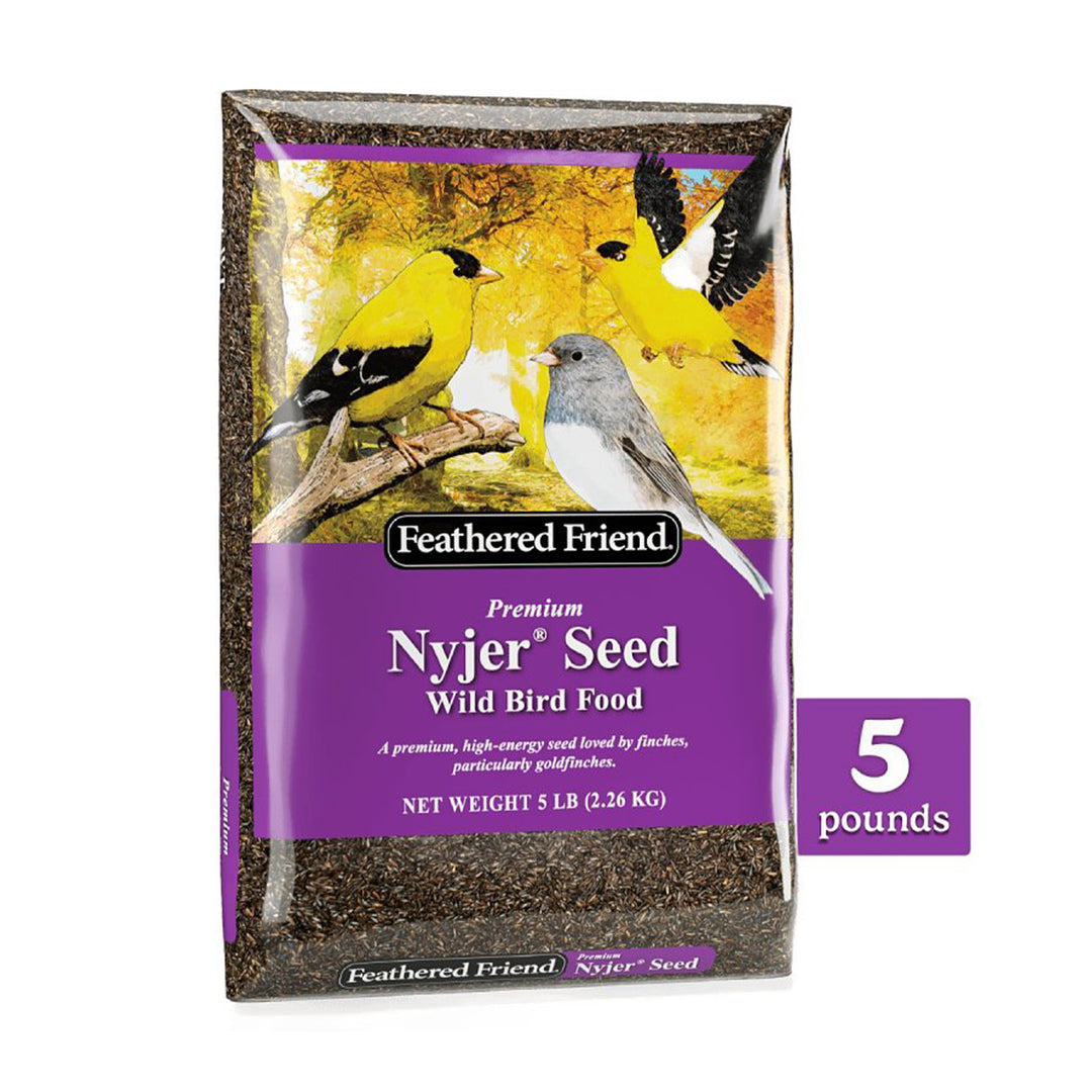 Nyjer Seed Wild Bird Food