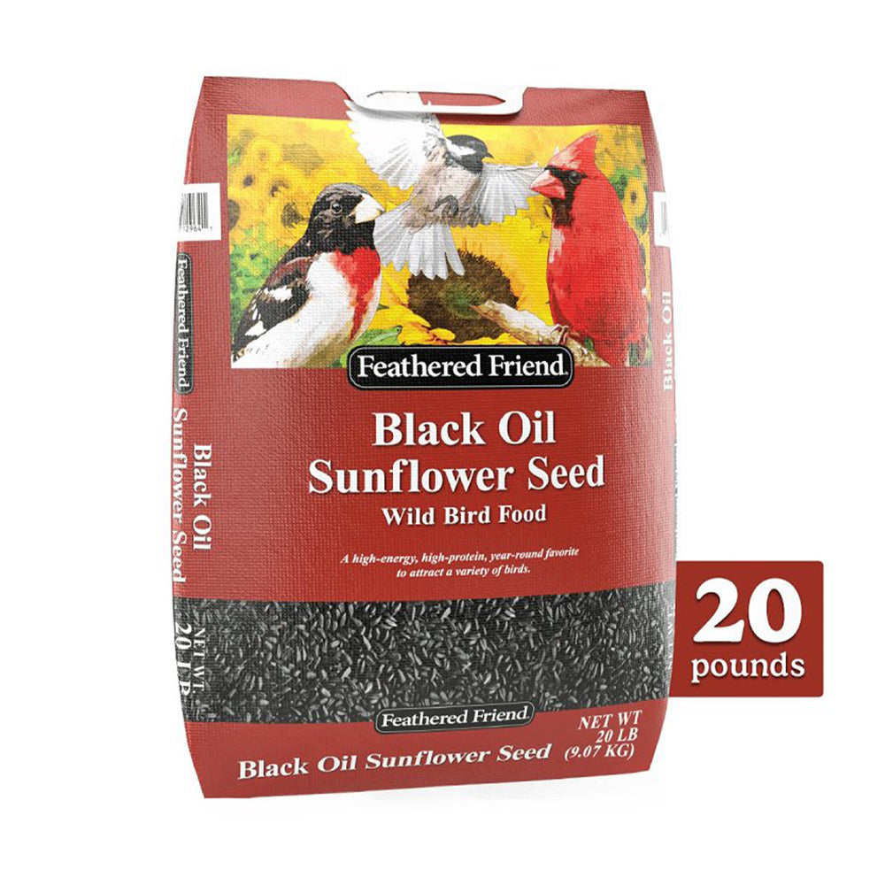 Black Oil Sunflower Seed Wild Bird Food