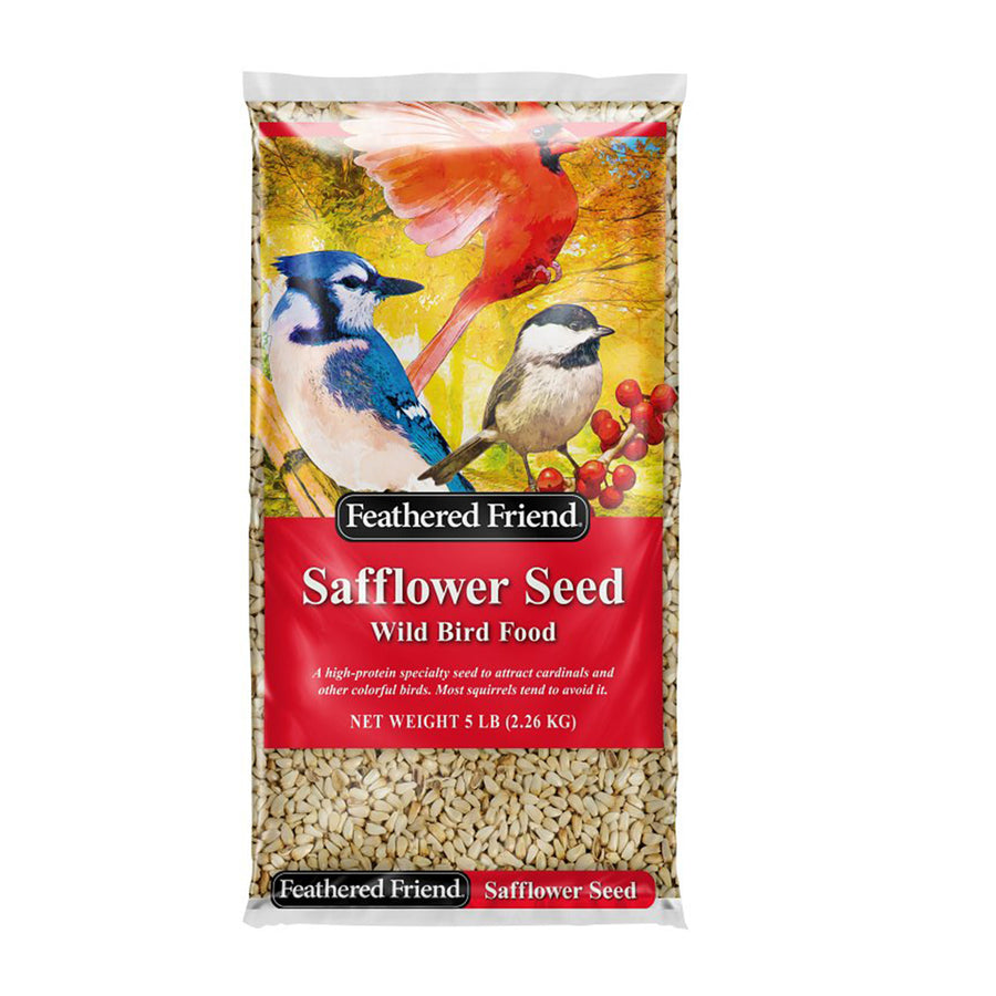Safflower Seed Wild Bird Food